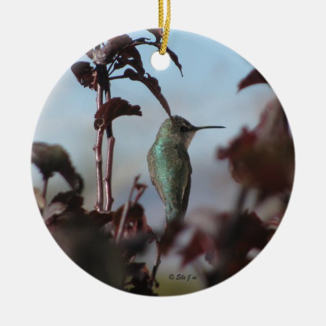 En Céramique Ornement de colibri (Devant)