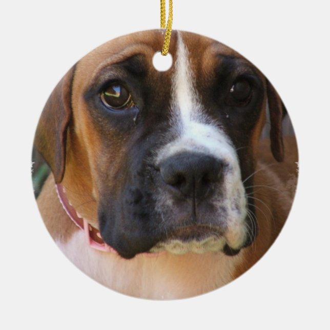 En Céramique Ornement de conception de chien de boxeur (Devant)