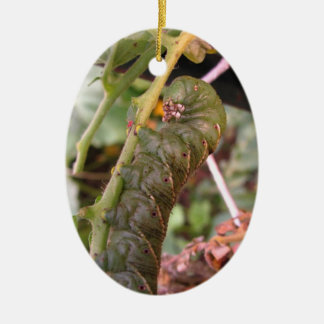 En Céramique Ornement de ~ de la Caroline Hornworm