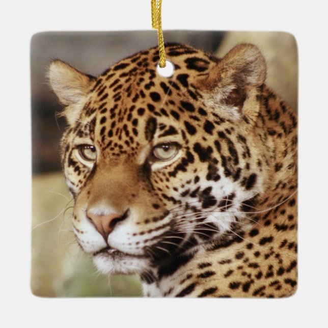 En Céramique Ornement de Jaguar (Devant)