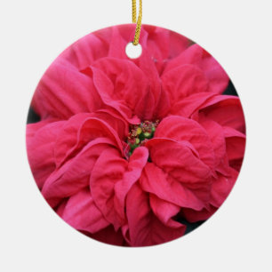 En Céramique Ornement de la fête rouge Poinsettia