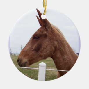 En Céramique Ornement de marée de mule