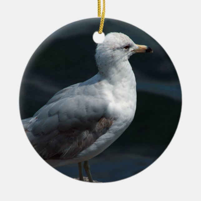 En Céramique Ornement de mouette (Devant)