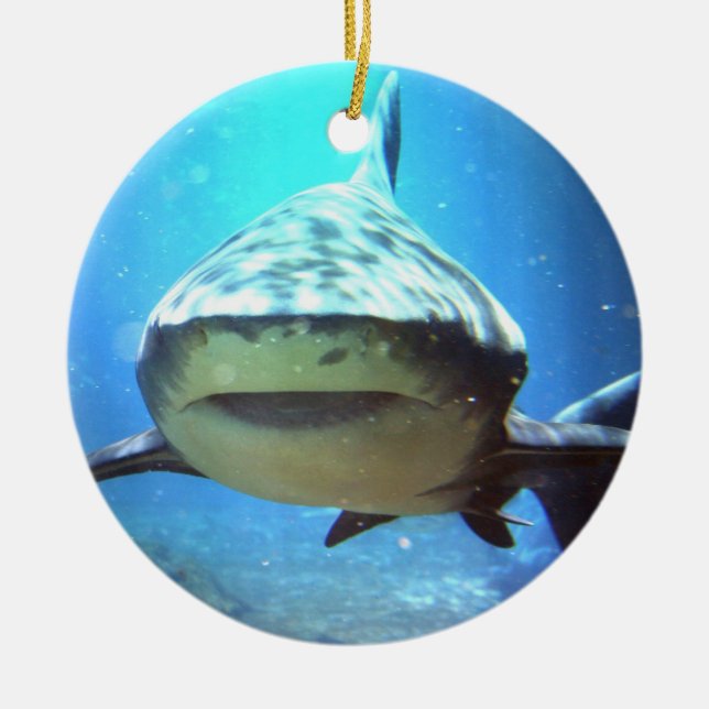 En Céramique Ornement de natation de requin (Devant)