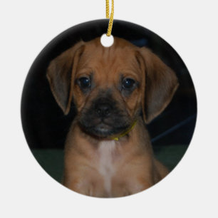 En Céramique ornement de puggle