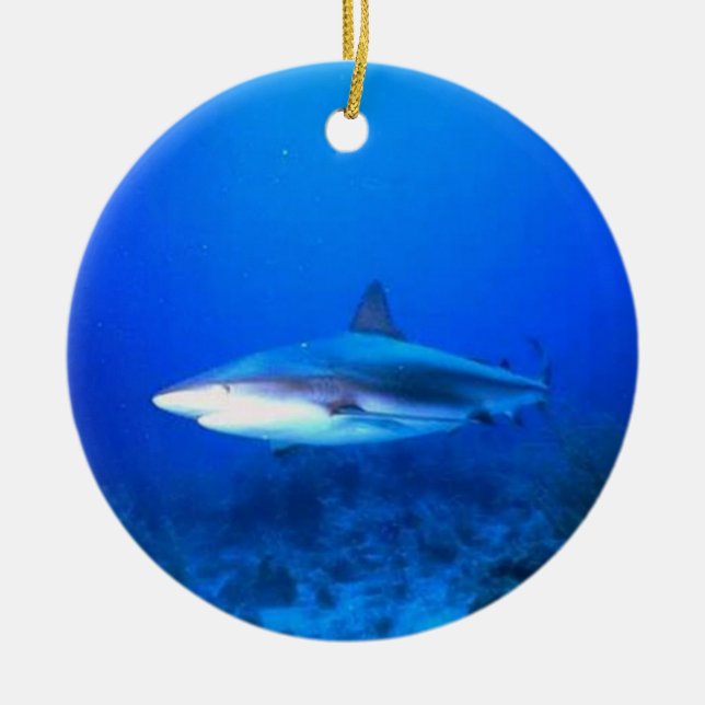 En Céramique Ornement de requin (Devant)