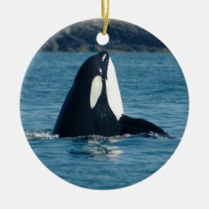 En Céramique Ornement de Spyhop