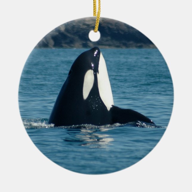 En Céramique Ornement de Spyhop (Devant)