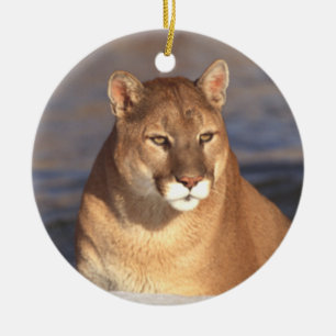 En Céramique Ornement de visage de puma