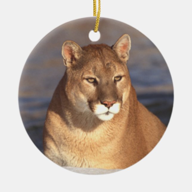 En Céramique Ornement de visage de puma (Devant)