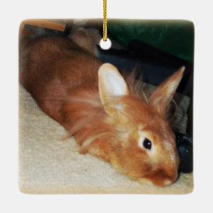 En Céramique Ornement désapprobateur de lapin