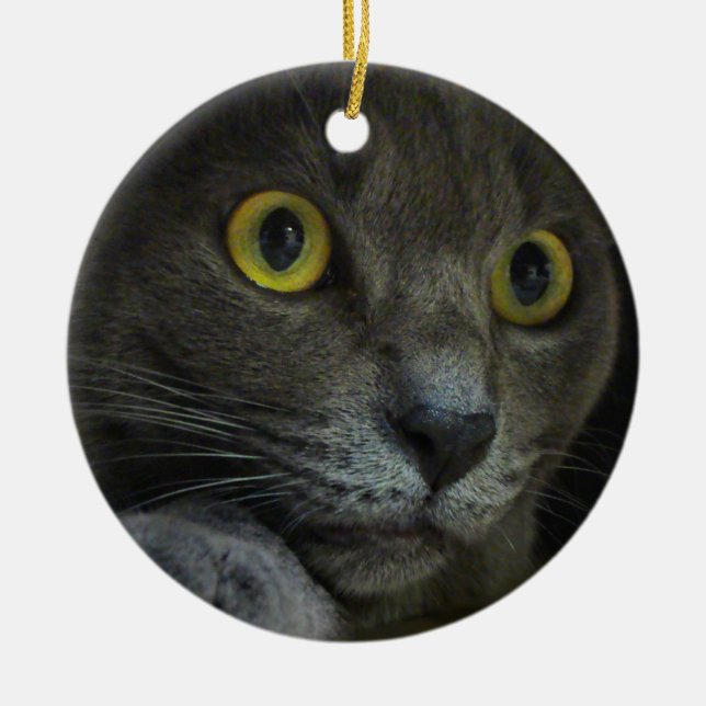 En Céramique Ornement d'intensité (Devant)