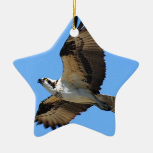 En Céramique Ornement d'oiseau de balbuzard