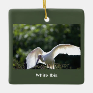 En Céramique Ornement d'oiseaux Ibis blanc