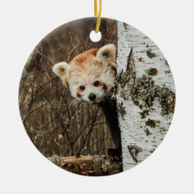 En Céramique Ornement du Panda rouge (Devant)