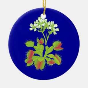 En Céramique Ornement floral d'attrape-mouches de Vénus