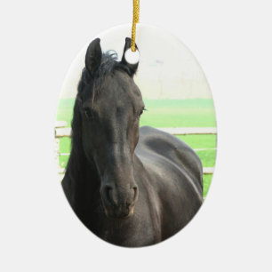 En Céramique Ornement frison noir de cheval