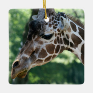 En Céramique Ornement Girafe
