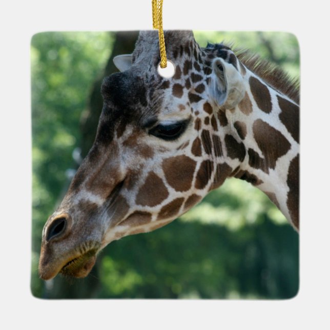 En Céramique Ornement Girafe (Devant)