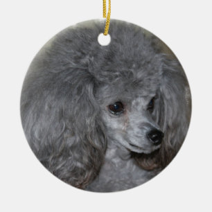 En Céramique Ornement gris de caniche
