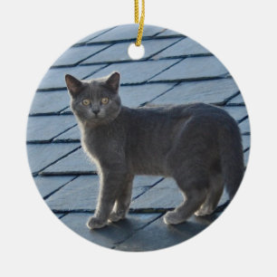 En Céramique Ornement gris de chaton
