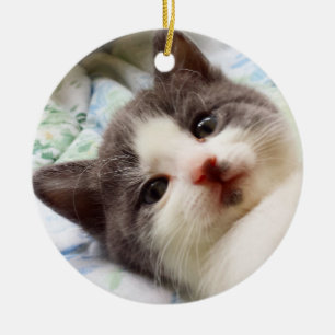 En Céramique Ornement gris et blanc de chaton