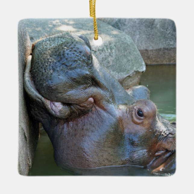 En Céramique Ornement Hippopotame (Devant)