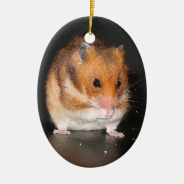 En Céramique Ornement mignon de hamster (Devant)