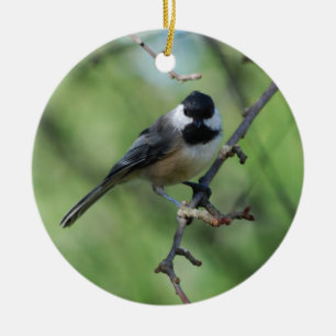 En Céramique ornement Noir-couvert de Chickadee