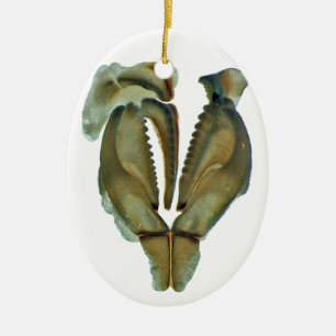 En Céramique Ornement ovale de Noël de mâchoire de ver