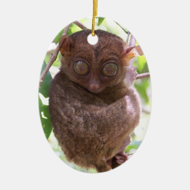 En Céramique Ornement philippin de Tarsier (Devant)