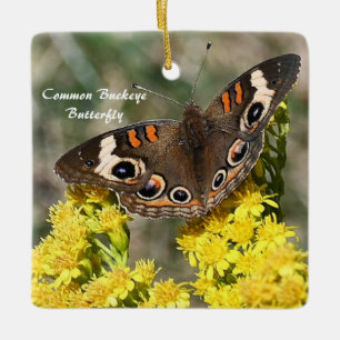 En Céramique Ornement photo de papillon commun