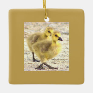 En Céramique Ornement photo Goslings