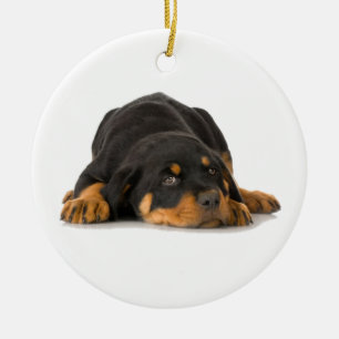 En Céramique Ornement Rottweiler