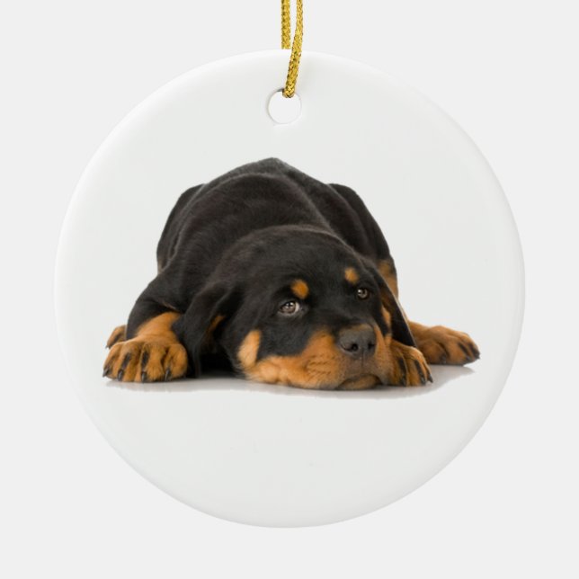 En Céramique Ornement Rottweiler (Devant)