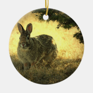 En Céramique Ornement sauvage de photo de lapin