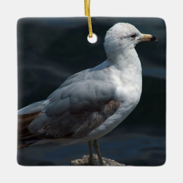 En Céramique Ornement Seagull (Devant)