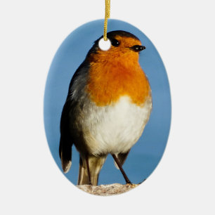 En Céramique Robin à poitrine rouge pour ornement ovale