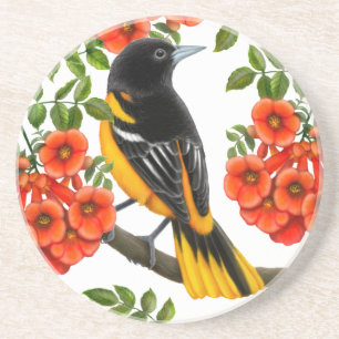 En Grès Baltimore Oriole dans des dessous de verre de