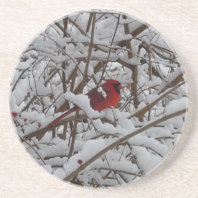 En Grès Beau Cardinal Rouge dans le Dessous de verre d'arb (Devant)