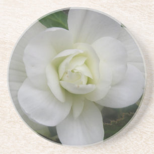 En Grès Beaux Dessous de verre d'oeillet blanc