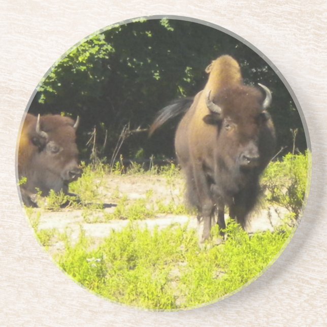 En Grès Bison, Dessous de verre de Buffalo (Devant)