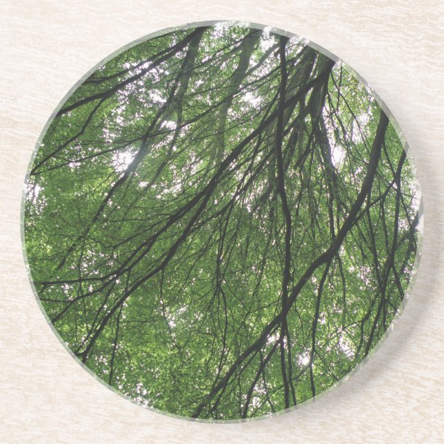 En Grès Branches et Dessous de verre Feuille (Devant)