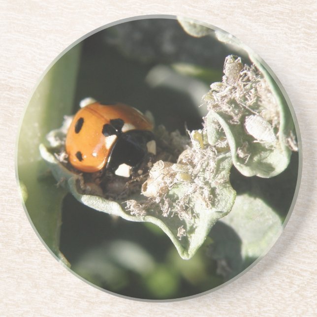 En Grès British 7 Spot Ladybug Dessous de verre (Devant)