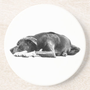 En Grès Calme Pitbull Mix Pose Lie Dessous de verre d'art