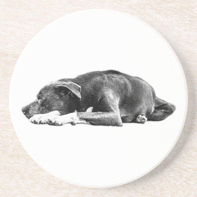 En Grès Calme Pitbull Mix Pose Lie Dessous de verre d'art (Devant)