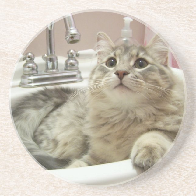 En Grès chat dans des dessous de verre d'évier (Devant)