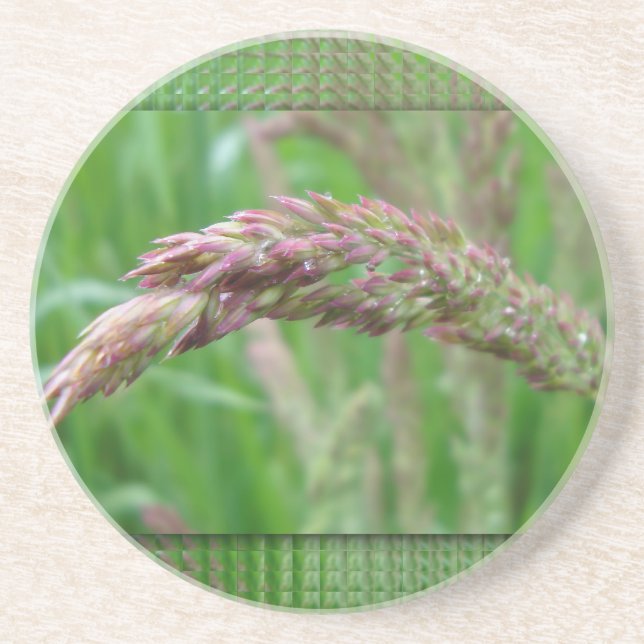 En Grès Comment l'herbe pousse le Dessous de verre (Devant)