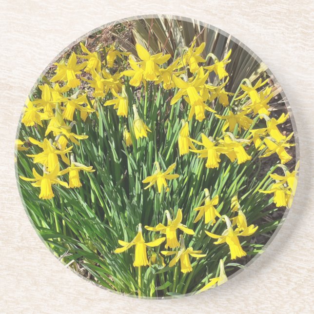 En Grès Daffodiques jaunes de printemps Dessous de verre e (Devant)