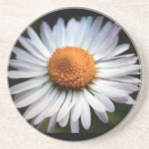 En Grès Daisy 1 Dessous de verre